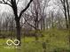 Picturesque view of wooded lot with colorful flowering trees creating a tranquil atmosphere at 7971 Conarroe Rd, Indianapolis, IN 46278