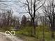 Scenic view of a tree-lined driveway leading to a charming home in a peaceful setting at 7971 Conarroe Rd, Indianapolis, IN 46278