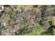 Drone image of dense foliage with areas of green grass visible through tree cover at 800 N 400 W, Bargersville, IN 46106