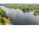 Scenic aerial view of the lake homes nestled among lush green forest at 7082 Muskrat Dr, Nineveh, IN 46164