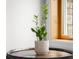 Close up shot of houseplant on a wooden barrel table at 5895 W 265 N, Columbus, IN 47201