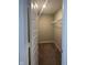 View of walk-in closet with carpet flooring and wire rack shelving at 1256 Turner Trace N Pl, Avon, IN 46123