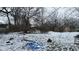 Snowy backyard featuring scattered debris, bare trees, and overgrown bushes in winter at 1621 Indiana Ave, Anderson, IN 46012