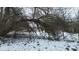Backyard view showing a snowy lot with a leafless tree at 1621 Indiana Ave, Anderson, IN 46012