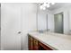 A standard bathroom features a long vanity and a framed mirror at 7459 Quincy Ct, Indianapolis, IN 46254
