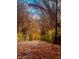 Scenic walking path lined with trees boasting vibrant autumn foliage and street lamps on a leaf-covered path at 780 James William Ln, Westfield, IN 46074