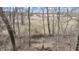 Serene view of the expansive backyard with mature trees and open grassy areas at 8937 W 800 N, Indianapolis, IN 46259