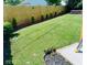 Spacious backyard featuring a well-maintained lawn, wood fence, and meticulously landscaped border at 5317 E 20Th Pl, Indianapolis, IN 46218
