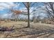 Expansive backyard featuring mature trees and a gentle slope, perfect for outdoor activities and relaxation at 8535 Fenton Tower Dr, Indianapolis, IN 46259
