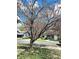 Street view showing the neighborhood and the home shaded by a large tree at 422 Johnson Ave, Franklin, IN 46131