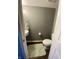 This powder room features a toilet, sink, and a small, cozy rug at 5801 Safari Dr, Indianapolis, IN 46237