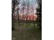 Scenic backyard view with mature trees and colorful sunset at 1086 Pebble Brook Dr, Noblesville, IN 46062