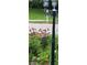 Charming front yard with echinacea flowers, a bird, and a vintage street lamp creating an inviting outdoor space at 1086 Pebble Brook Dr, Noblesville, IN 46062