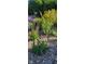 Beautiful front yard garden displaying purple flowers and lush greenery on a bed of mulch at 1086 Pebble Brook Dr, Noblesville, IN 46062