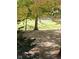 Deer grazing in the lush backyard at 1086 Pebble Brook Dr, Noblesville, IN 46062