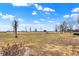 Large grass yard with mature trees and blue sky at 5272 N Graham Rd, Whiteland, IN 46184