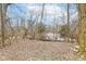 View of the wooded backyard showcasing beautiful trees and easy lake access at 5815 Noble Dr, Indianapolis, IN 46234