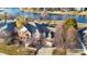 Aerial view of brick home with lake view, mature trees, and a well maintained driveway at 9970 Southwind Dr, Indianapolis, IN 46256