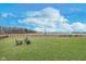 Expansive backyard featuring a lush lawn, perfect for outdoor activities and relaxation with firepit and chairs at 1051 Macoun Dr, Westfield, IN 46074