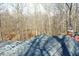 A view of the roof with the trees and a chimney in the background at 9464 N State Rd 135, Morgantown, IN 46160