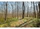 Secluded wooded backyard, with dappled sunlight filtering through the trees, offering a serene natural setting at 1828 W 750 S, Trafalgar, IN 46181