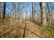 Leaf-covered path in a secluded wooded backyard, with natural sunlight filtering through the trees, inviting tranquility at 1828 W 750 S, Trafalgar, IN 46181