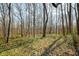 Secluded wooded backyard, with dappled sunlight filtering through the trees, offering a serene natural setting at 1828 W 750 S, Trafalgar, IN 46181