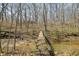 Charming wooden bridge over a gentle stream in a wooded area leads to house at 1828 W 750 S, Trafalgar, IN 46181