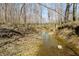 Scenic creek surrounded by lush, natural landscape and bare trees at 1828 W 750 S, Trafalgar, IN 46181