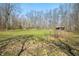 Open grass land with a weathered shack in the distance is surrounded by bare trees, creating an idyllic pastoral scene at 1828 W 750 S, Trafalgar, IN 46181