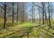 A tree-lined path through grassy land creates a picturesque scene, bathed in dappled sunlight and natural beauty at 1828 W 750 S, Trafalgar, IN 46181