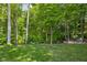 Expansive backyard with lush green lawn, mature trees, and a secluded fire pit area at 6504 W May Apple Dr, McCordsville, IN 46055