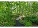 Secluded backyard with a charming stream and wooden bridge, surrounded by lush greenery at 6504 W May Apple Dr, McCordsville, IN 46055
