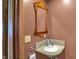 Charming bathroom featuring a decorative mirror, a marble sink, and a towel ring at 828 Woodruff Place Middle Dr, Indianapolis, IN 46201