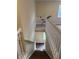 Carpeted staircase with white railings leads to the ground floor at 10419 Dark Star Dr, Indianapolis, IN 46234