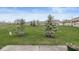 Community backyard featuring mature landscaping and expansive lawn at 4038 Oak Trail Dr, Indianapolis, IN 46237