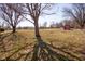 Expansive backyard featuring a red storage shed, scattered trees, and a well-maintained lawn at 2566 S Ritter Ave, Indianapolis, IN 46203