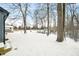 Expansive backyard with lush trees and peaceful surroundings at 150 W Jo Jo Ln, Nineveh, IN 46164