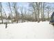 Spacious backyard covered in snow at 150 W Jo Jo Ln, Nineveh, IN 46164