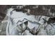 Aerial view of the home showing the roof and snow-covered backyard at 5791 Station Hill Dr, Avon, IN 46123