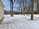 Large backyard with a snow-covered lawn, mature trees and a wooded area at 5791 Station Hill Dr, Avon, IN 46123
