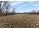 Large, fenced pasture offering plenty of space at 7968 E 200 S, Whitestown, IN 46075