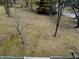 Large grassy backyard with mature trees, offering ample space for outdoor activities at 193 Sugarwood Ln, Avon, IN 46123