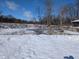 View of a snow-covered backyard leading to a frozen pond with trees and an icy barrier in the background at 401 W Edwards Ave, Indianapolis, IN 46217
