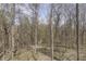Serene view of a wooded area with tall trees, creating a private and natural setting at 1032 E Woodall Ct, Martinsville, IN 46151