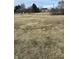 Spacious backyard featuring a house in the distance and plenty of room to roam at 1130 W State Road 42, Mooresville, IN 46158