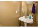 Powder room featuring a pedestal sink, neutral tones, and a decorative mirror at 538 Cyclamen Chase, Westfield, IN 46074