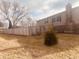 Spacious backyard with a wood fence, mature trees, and room for outdoor activities at 2317 Lincoln Dr, Cicero, IN 46034