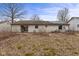 View of overgrown backyard with small patio and brown siding on the home at 817 Delray Dr, Indianapolis, IN 46241