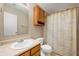 Bathroom featuring a vanity, mirror, toilet, and shower with a curtain, providing all essential amenities at 9698 W Lantern Ln, Pendleton, IN 46064